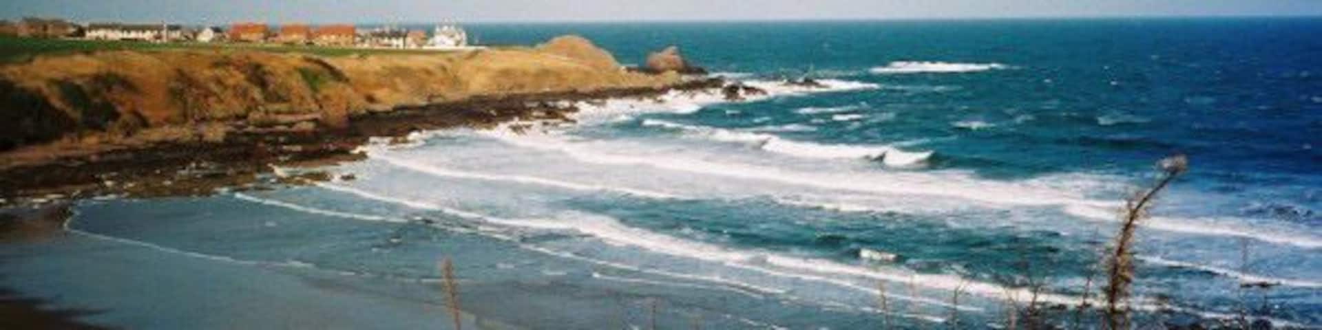 A coastal landscape with waves crashing onto the shore, a lighthouse, and a distant shoreline with buildings.