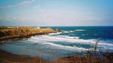 Paisagem costeira com ondas quebrando na praia, um farol e uma linha de costa distante com edifícios.