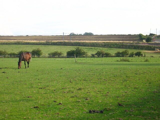 Reston. The East Coast Main Line is in the background.