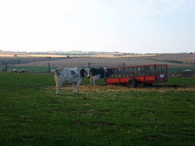 East Reston, near Ayton.