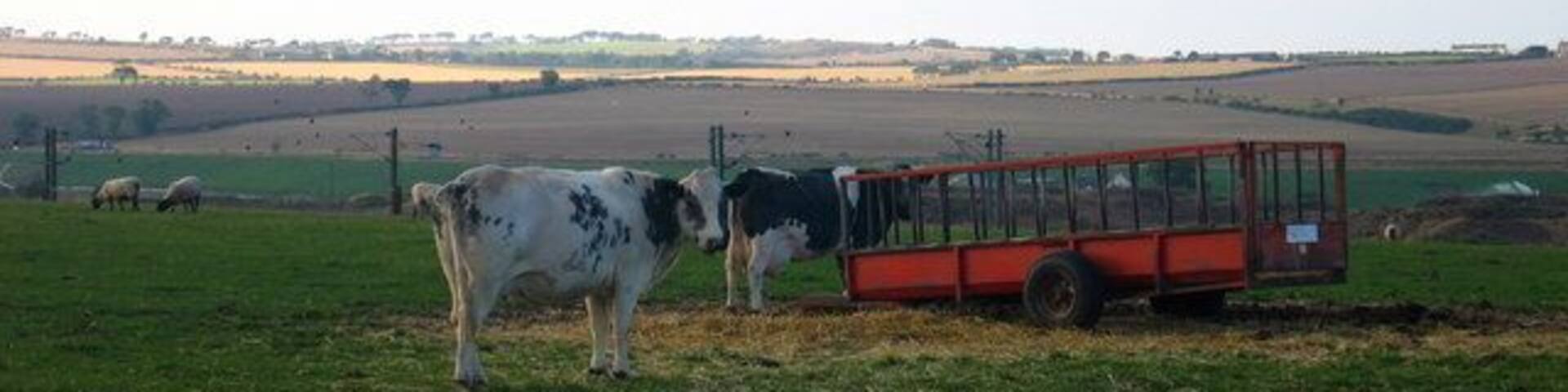East Reston, near Ayton.