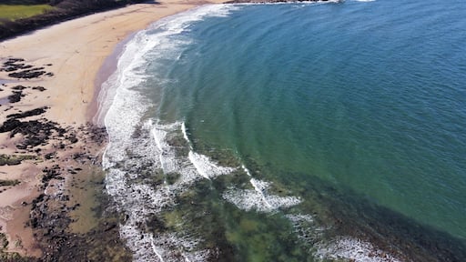 Aerial view of the sea and rocky coastline on the East coast of Scotland.