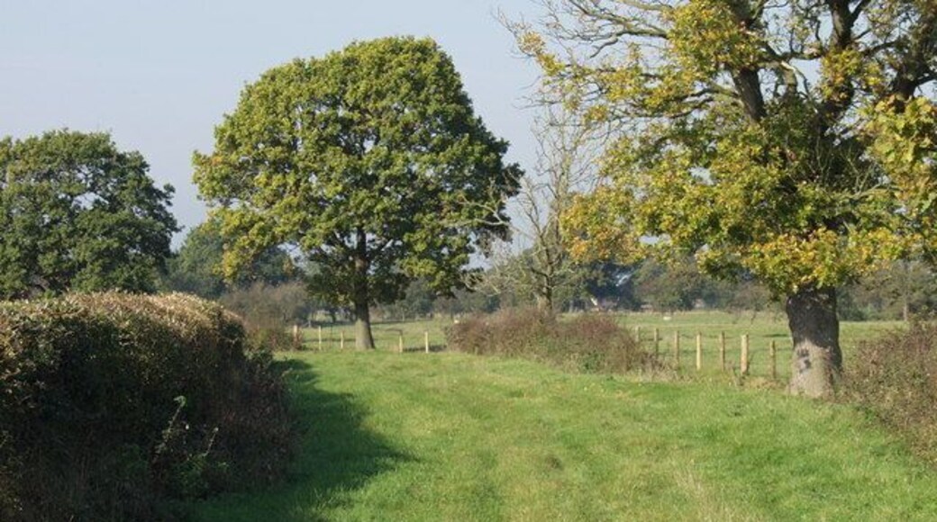 Green lane at Willington Cross Green lane use by the nearby dairy farm to access fields.