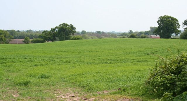 View towards St Wenefrede's Church View across undulating fields towards St Wenefrede's Church at Bickley; the spire is just visible on the horizon (centre right). The woodland (left) is the edge of Moss Wood. View south west from Grotsworth Lane at the junction with the footpath to Hetherson Green