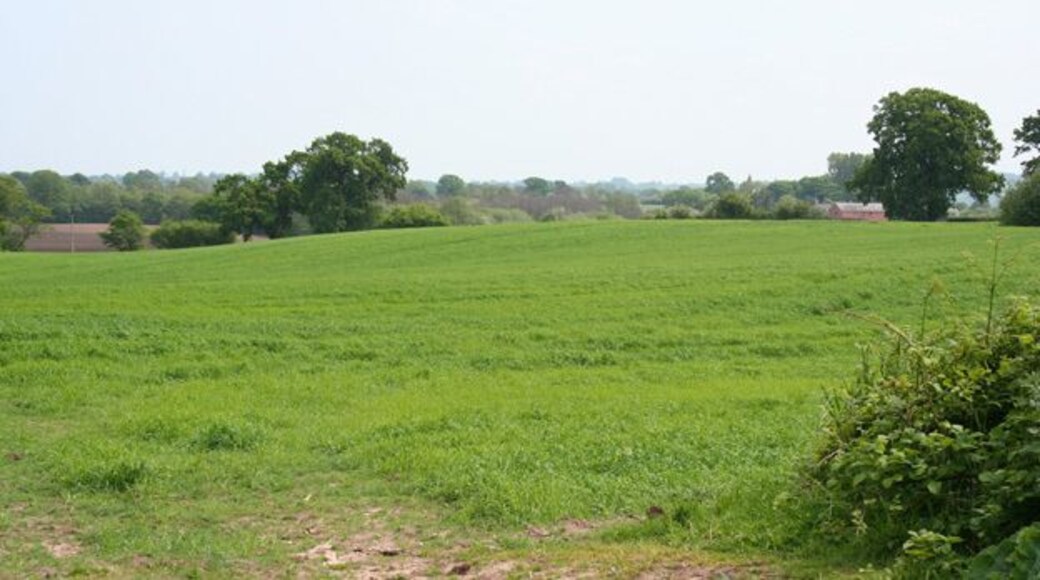 View towards St Wenefrede's Church View across undulating fields towards St Wenefrede's Church at Bickley; the spire is just visible on the horizon (centre right). The woodland (left) is the edge of Moss Wood. View south west from Grotsworth Lane at the junction with the footpath to Hetherson Green