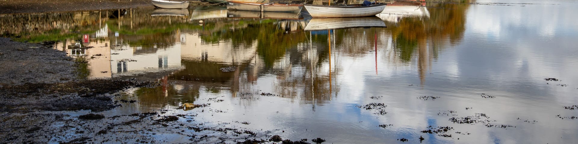 Captures from along the Tresillian river, Cornwall