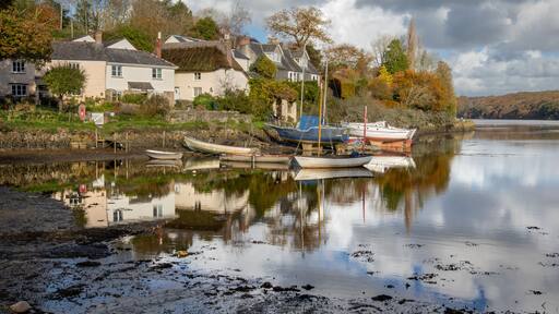 Captures from along the Tresillian river, Cornwall