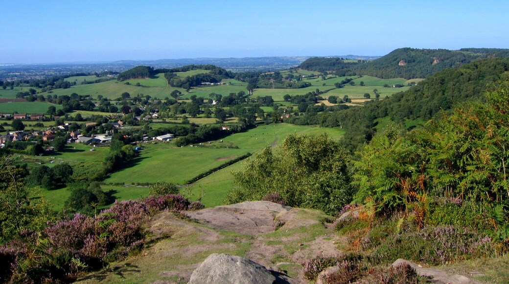 Overlooking Brown Knowl