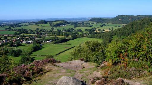 Overlooking Brown Knowl