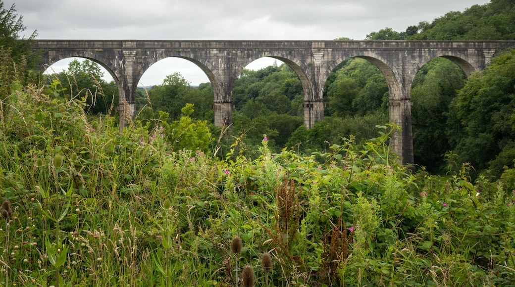 Holsworthy, Derriton railway viaduct. Landscape view. Devon, UK.