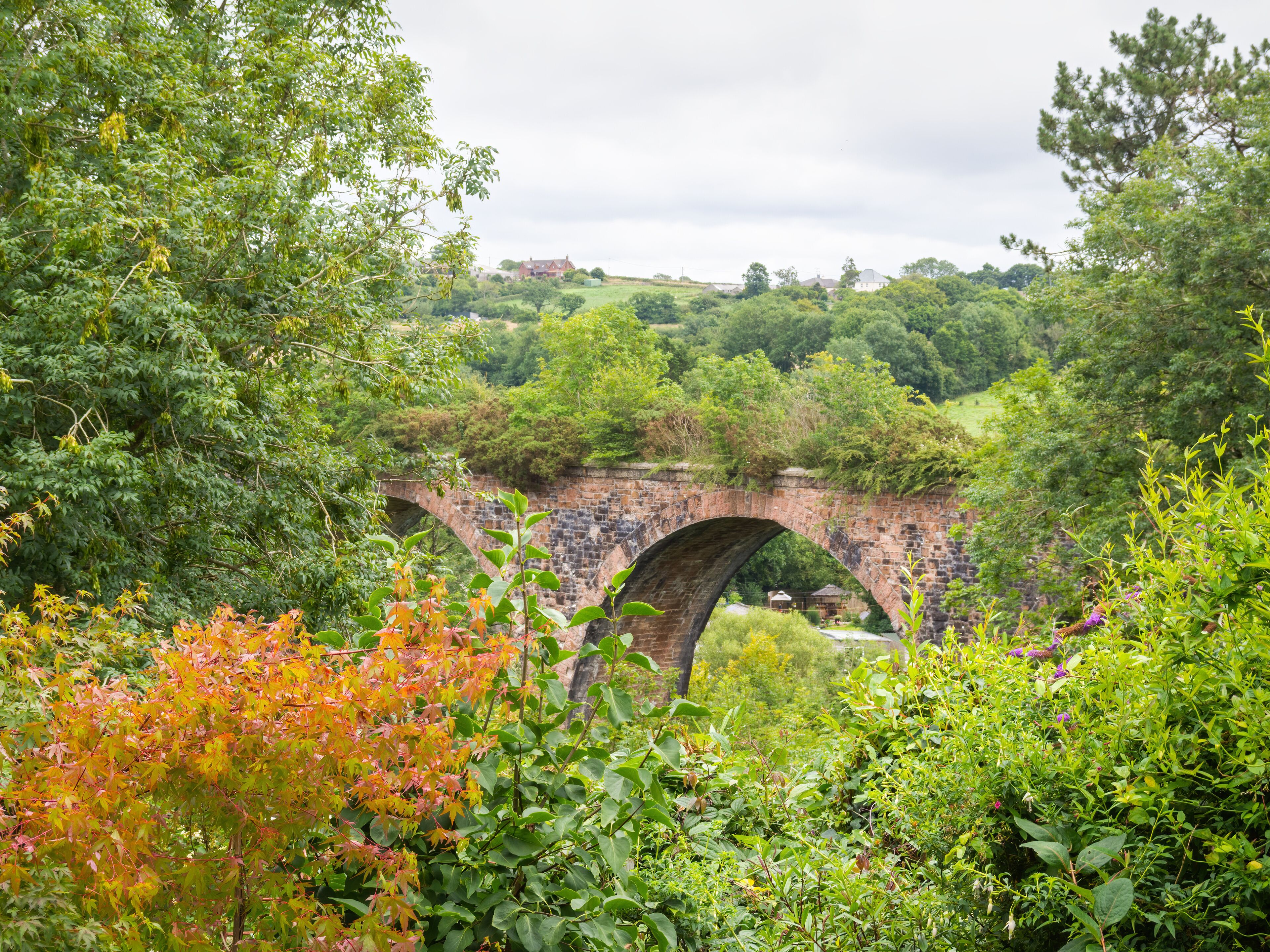 Coles Mill Viaduct, Holsworthy, Devon, glimpsed through trees.