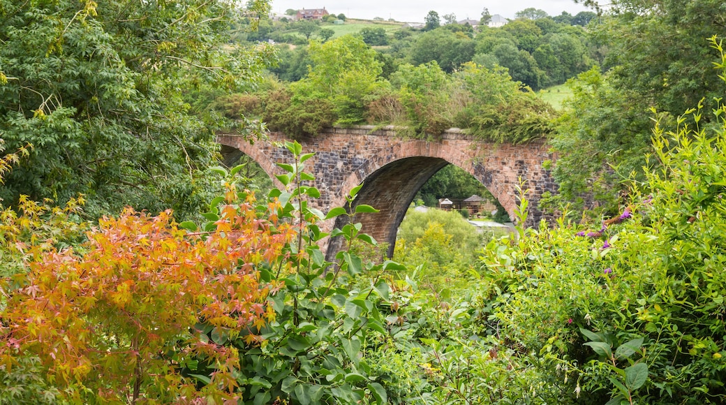 Coles Mill Viaduct, Holsworthy, Devon, glimpsed through trees.
