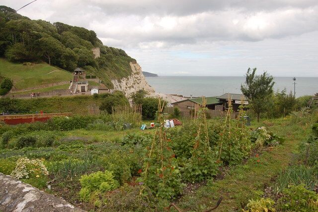 A coastal landscape with cliffs, a beach, and a garden.