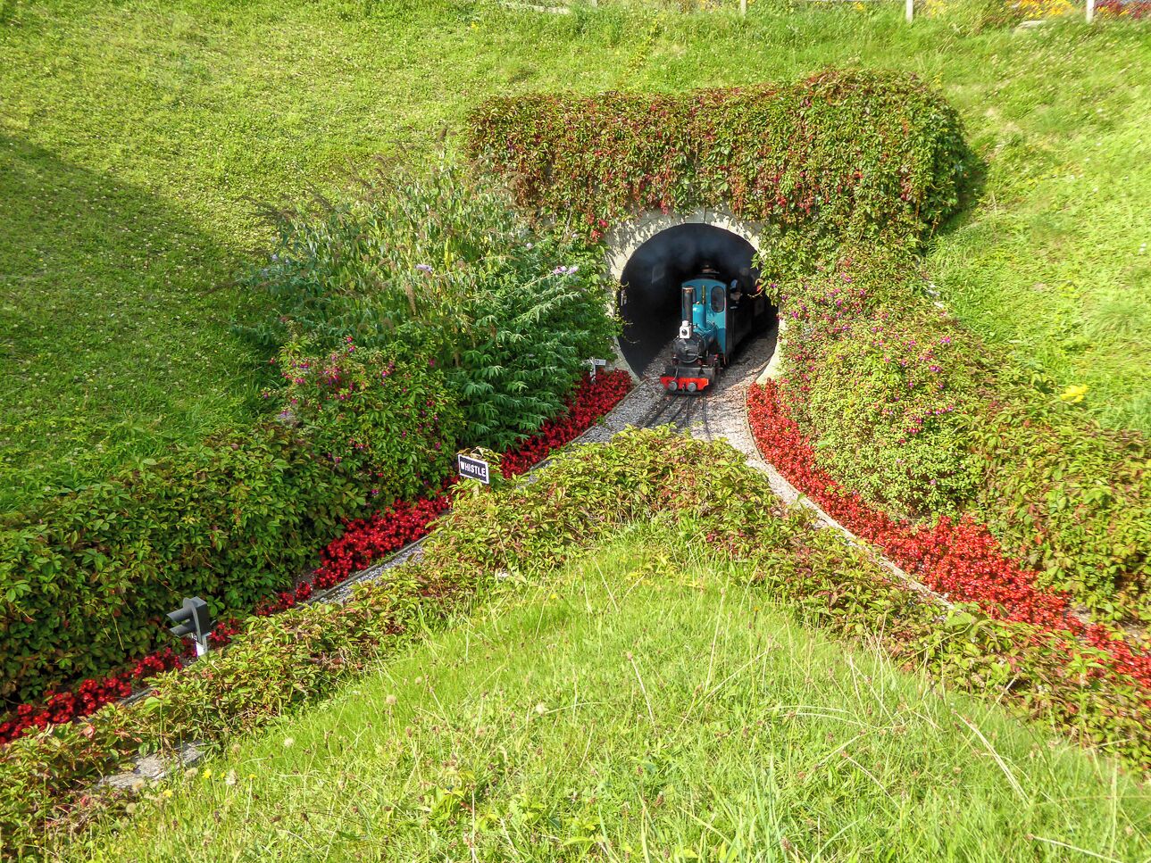 Tunnel, Pecorama, Beer, Devon A small steam locomotive on the narrow gauge railway pulls out of the tunnel.