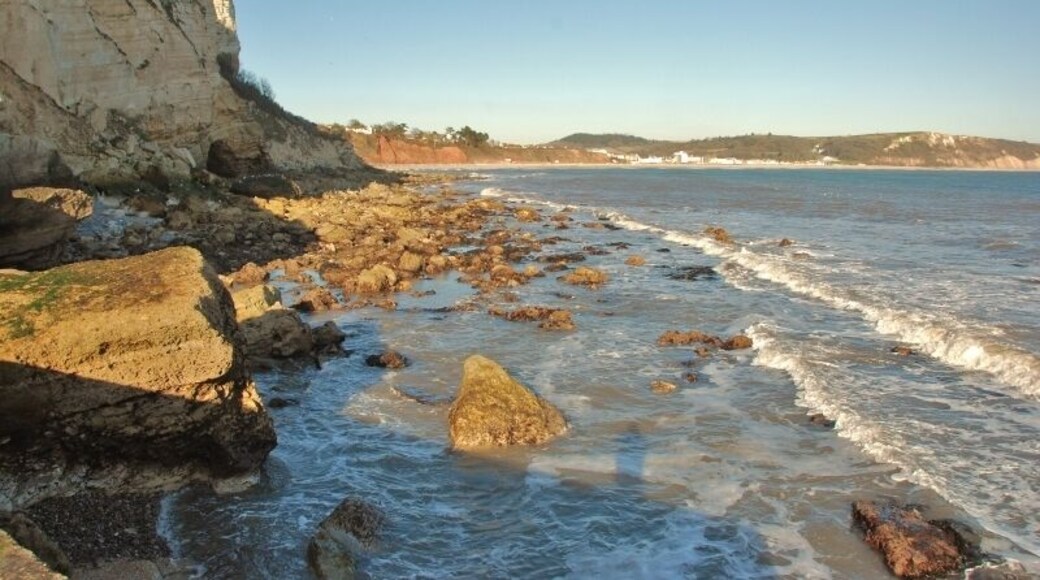 Beer: View towards Seaton Hole White Cliff at Seaton Hole is regarded by geologists as the most complete and best exposed section in Upper Greensand anywhere in Britain. It is also one of the few places in southern England where one can see a major earthquake fault.