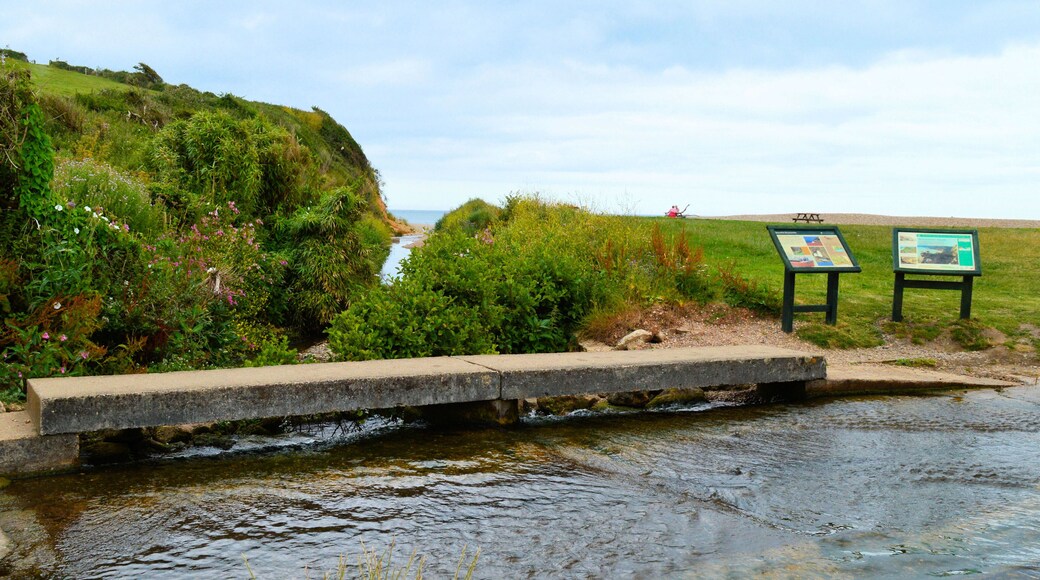 The Ford, Branscombe Mouth
