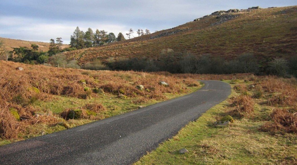 Black Tor. The access road to the Avon Dam leads back towards Shipley bridge, and curls around underneath Black Tor. The trees were planted to shelter Brent Moor House, see 1765058.