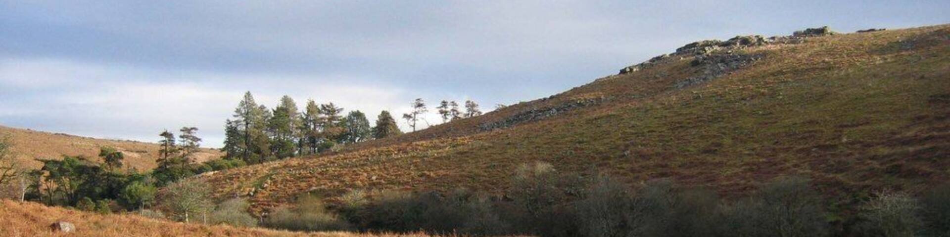 Black Tor. The access road to the Avon Dam leads back towards Shipley bridge, and curls around underneath Black Tor. The trees were planted to shelter Brent Moor House, see 1765058.