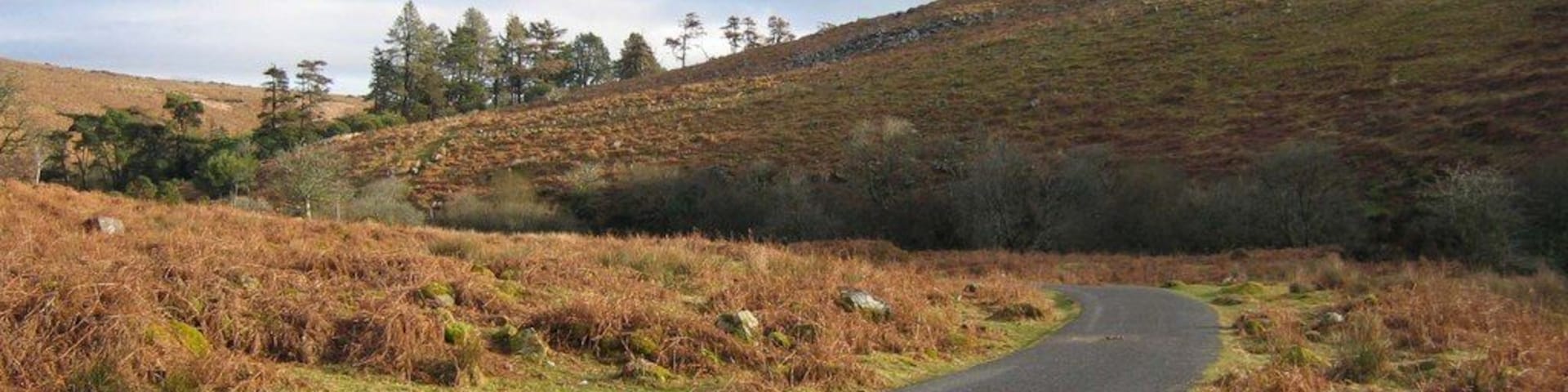 Black Tor. The access road to the Avon Dam leads back towards Shipley bridge, and curls around underneath Black Tor. The trees were planted to shelter Brent Moor House, see 1765058.