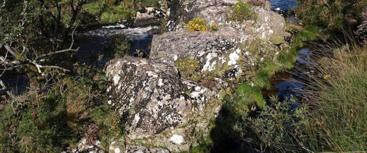 River Avon A large granite rock adorned with gorse and heather partly blocks the course of the river below the Avon Dam.