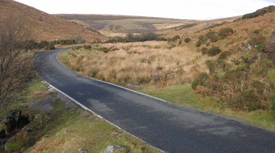 The Avon valley near Long-a-Traw. This is the access road to the dam that provides a good surface road for the bridleway which is regarded as an easy access route for disabled people, although from personal experience I can that the gradient is fierce if one is pushing a wheelchair up it ! The valley area is known as Long-a-Traw, though I know not why, and in the distance is Gripper's Hill. See 1765025.