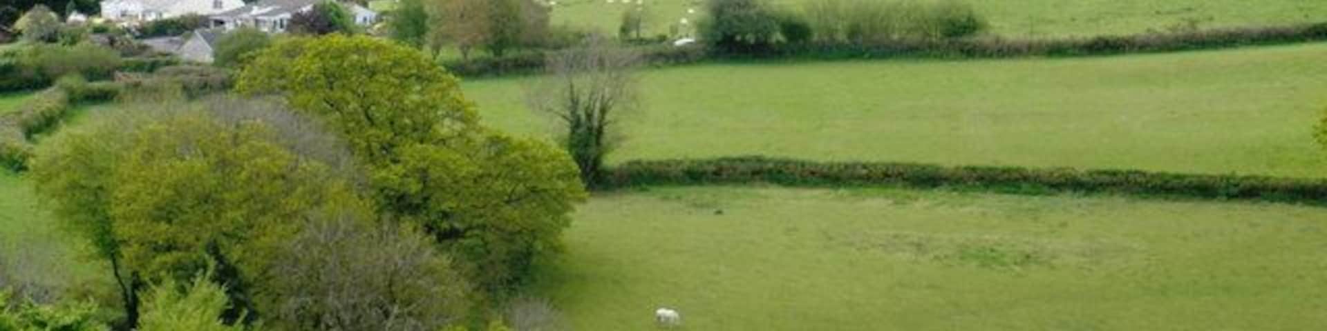 Aish, viewed from the path, south of Lutton