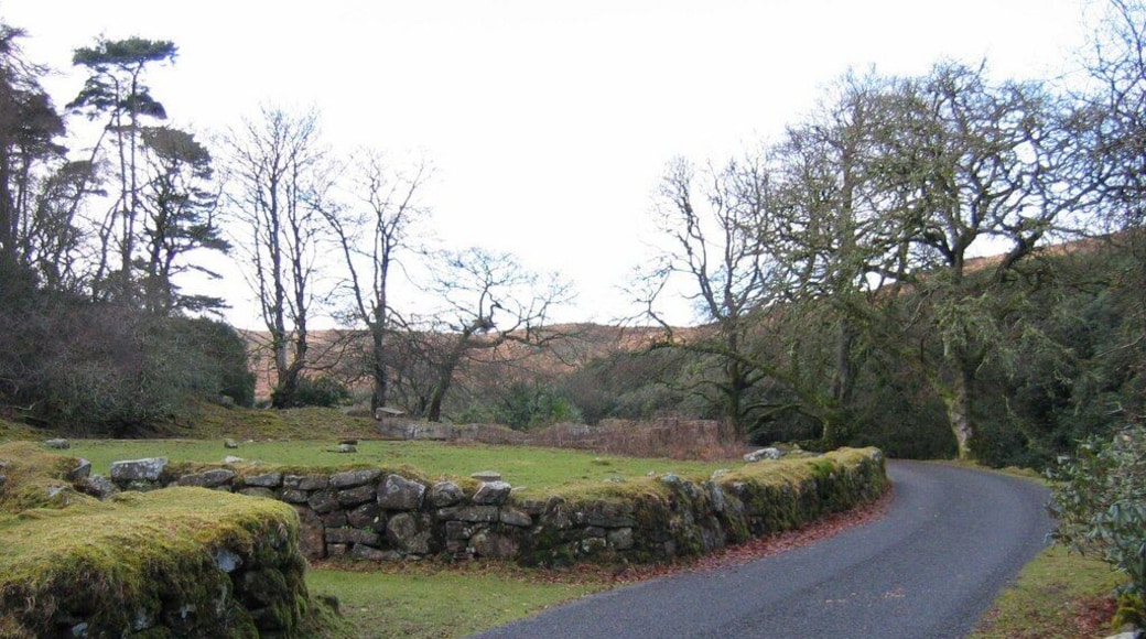 The remains of Brent Moor House. A former entrance into the garden of the demolished Brent Moor House, with the remains in the distance. The road is the access road to the Avon Dam. See also 1765058.