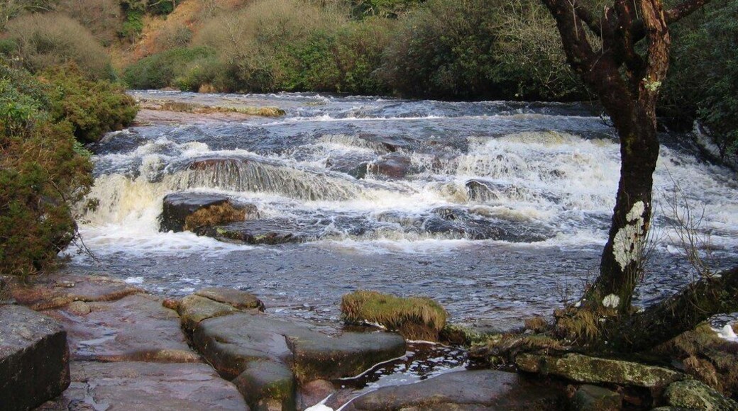 Rapids near Shipley Bridge. The River Avon was full after winter rains, a contrast to the similar vista in 1272204. See also 1139128.