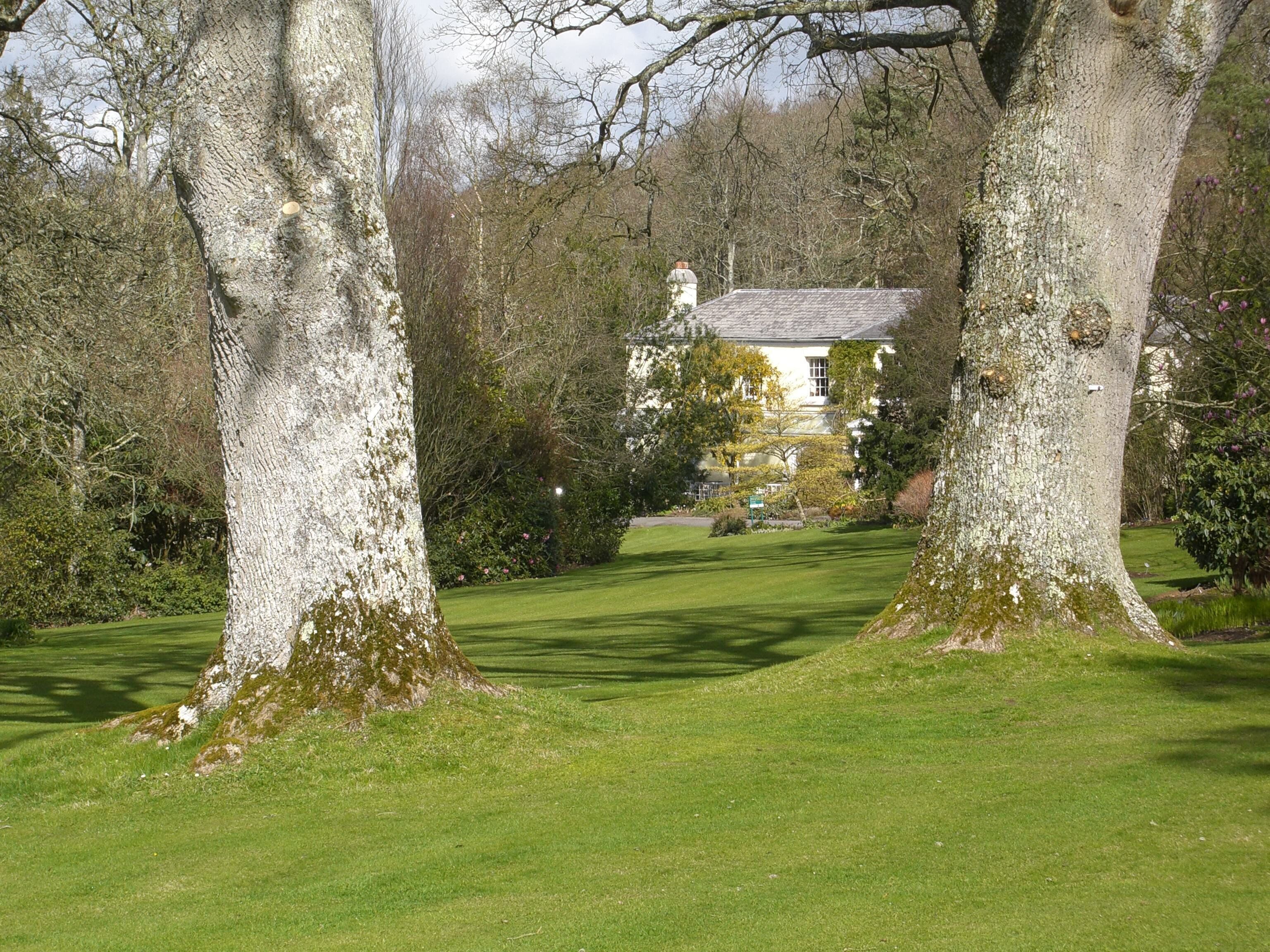 Rosemoor RHS Gardens