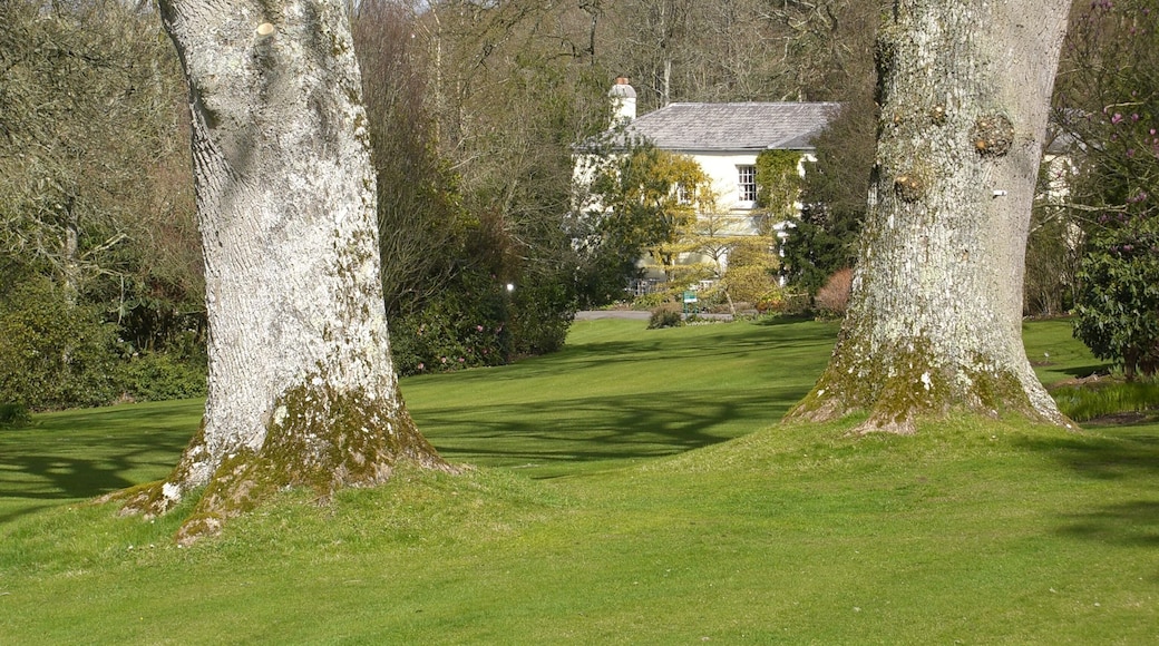 Rosemoor RHS Gardens
