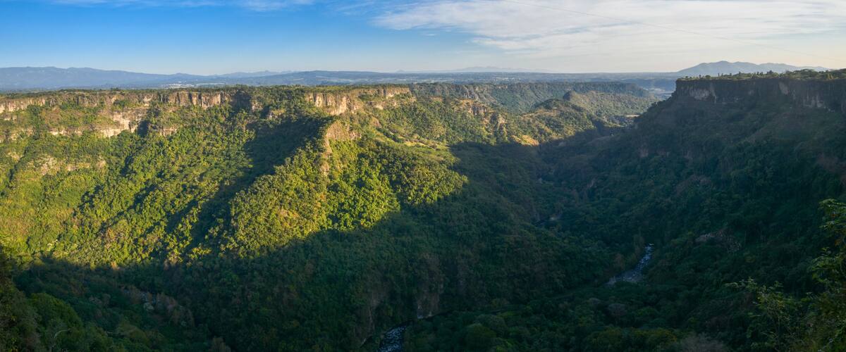 A canyon with steep cliffs and dense forest.