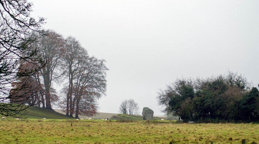 Ancient stones surround and cut through the delightful village of Avebury.