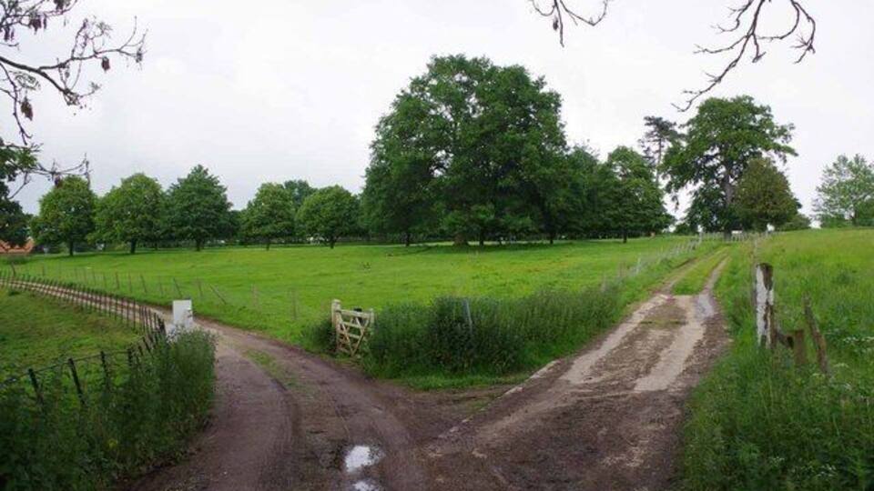A rural dirt road leading through a green field with trees and a fence on one side.
