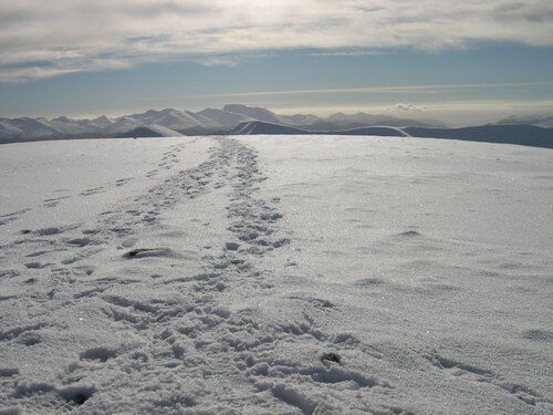 Paisagem coberta de neve, céu limpo e montanhas ao longe.