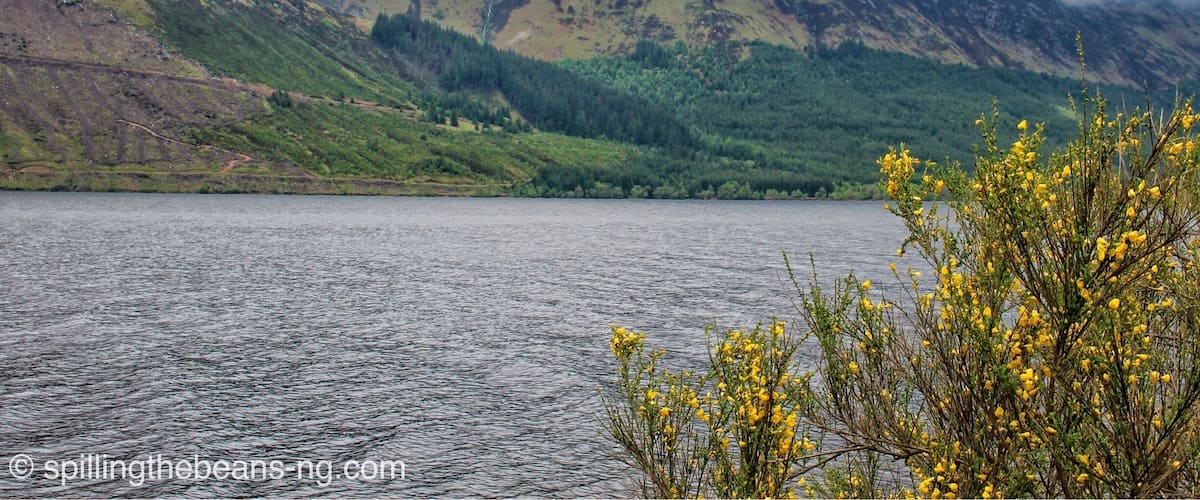 The Scottish Highlands are absolutely picturesque, with breathtaking landscapes that look right out of a dream.
This was by a beautiful Loch (Scottish for lake) - one of the stops we made during a day trip from Edinburgh to Loch Ness.
#troveon #scotland #bestof5