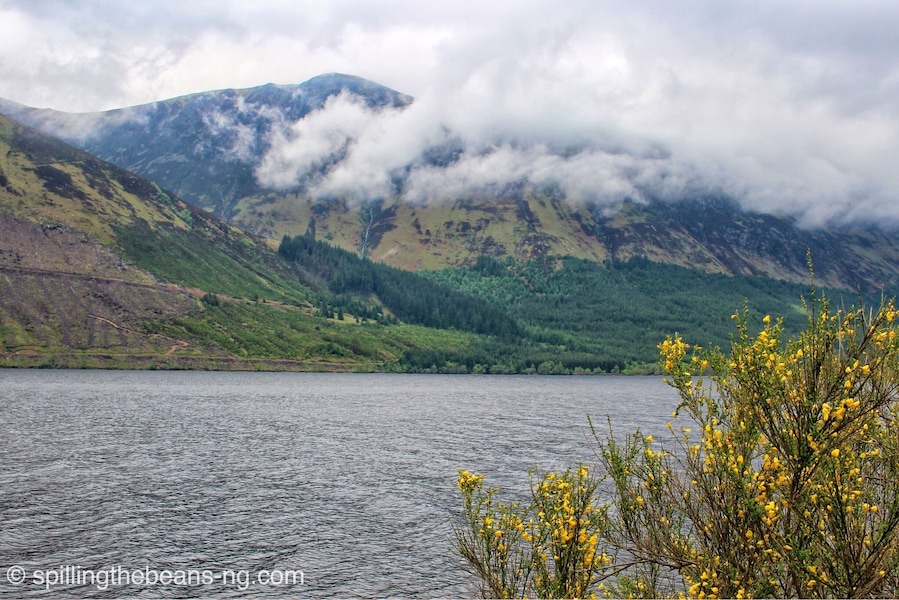 The Scottish Highlands are absolutely picturesque, with breathtaking landscapes that look right out of a dream.
This was by a beautiful Loch (Scottish for lake) - one of the stops we made during a day trip from Edinburgh to Loch Ness.
#troveon #scotland #bestof5