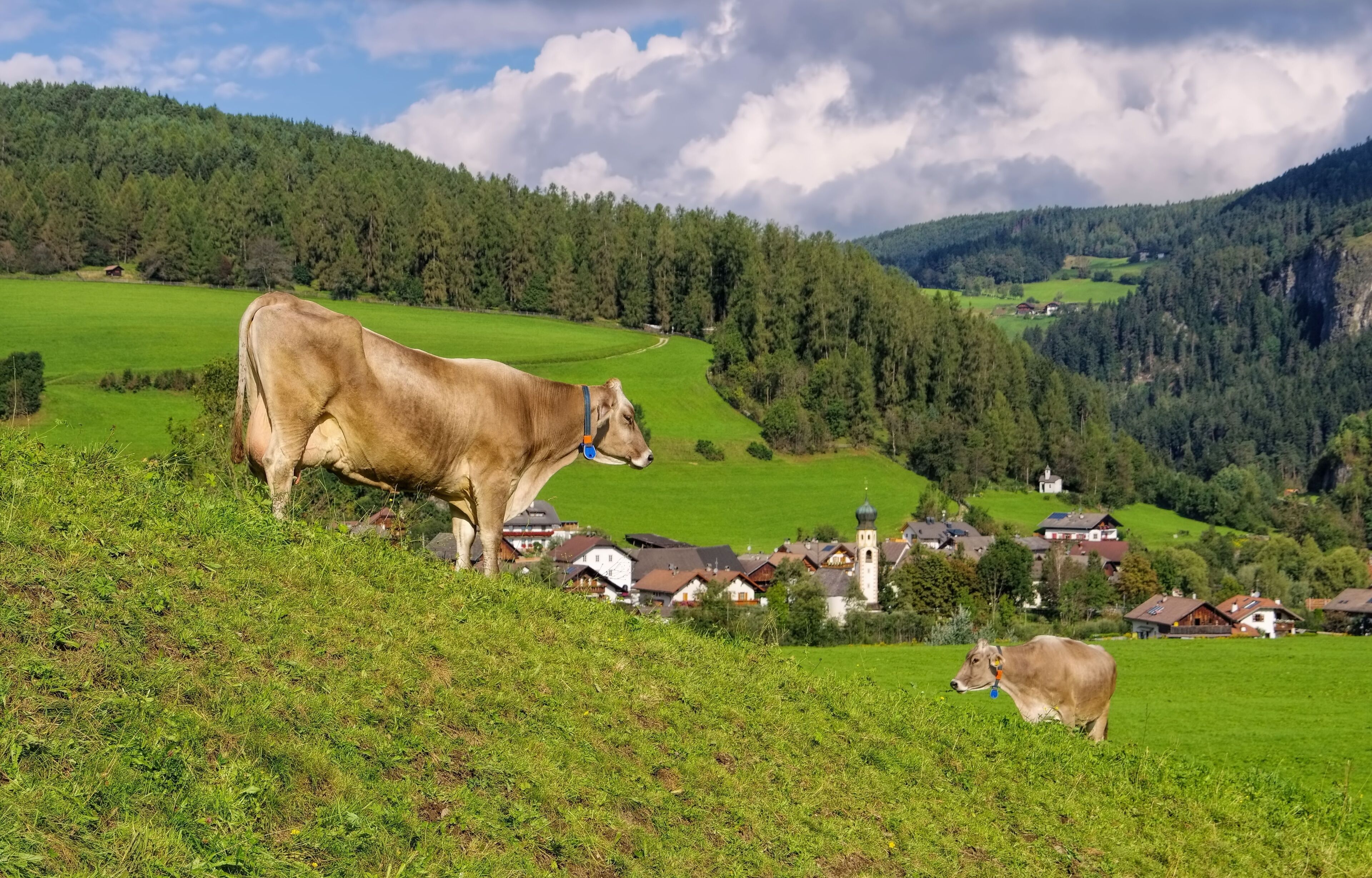 サン ロレンツォ ディ セバート
