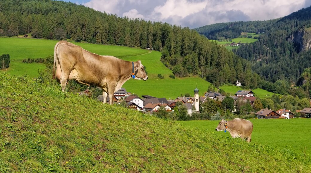 サン ロレンツォ ディ セバート