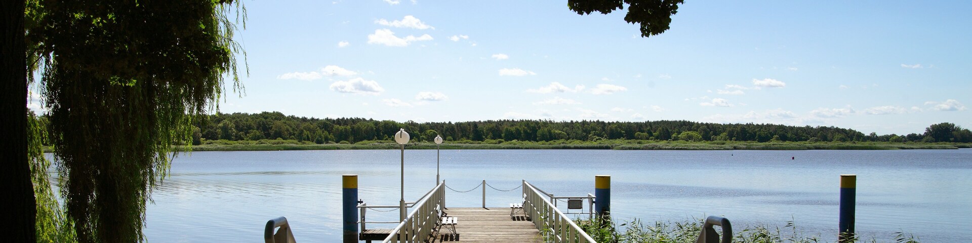 A wooden pier extending into a calm lake, surrounded by trees and greenery.