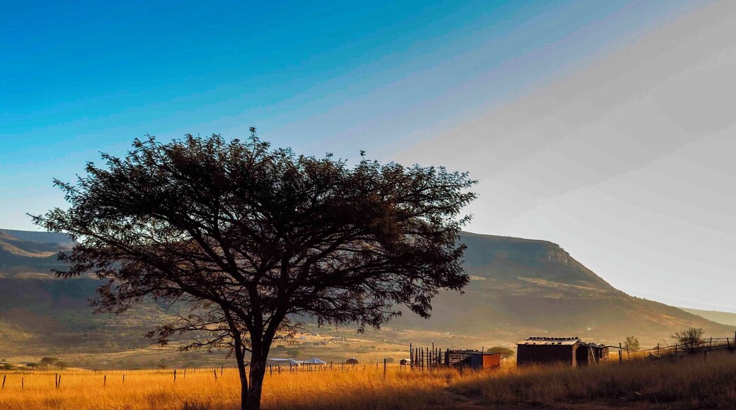A very typical African landscape scene, as we left Pongola on route to Bivane Dam for our #WeekendGetaway and 4x4 run.
