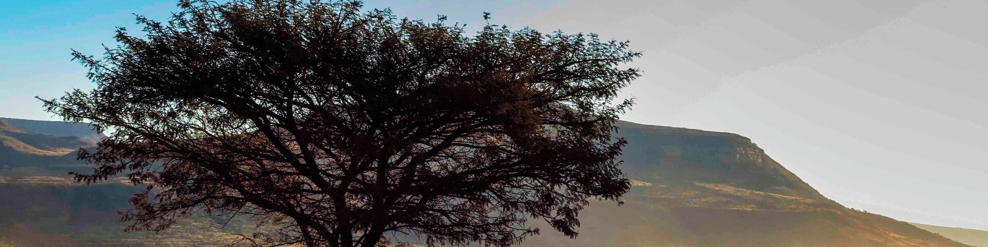 A very typical African landscape scene, as we left Pongola on route to Bivane Dam for our #WeekendGetaway and 4x4 run.