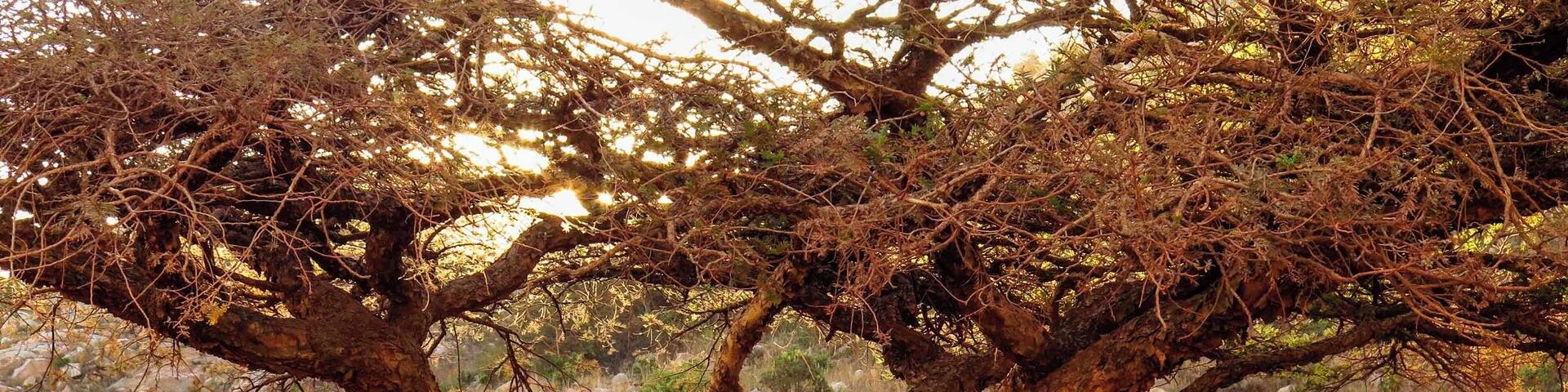 There is always time for a quick stop to get some cold refreshments from the back. Driving off road during a #WeekendGetaway does make you thirsty.