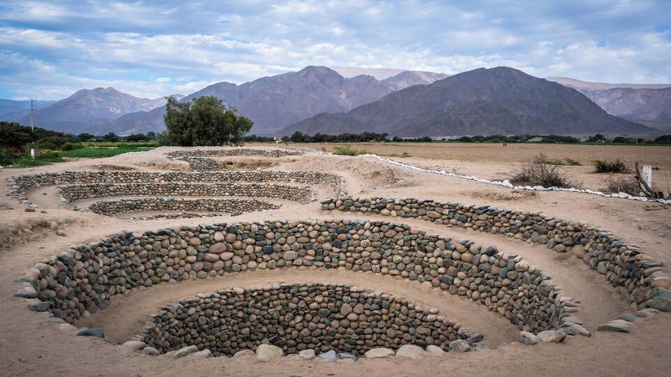 A terraced landscape with a mountain range in the background.
