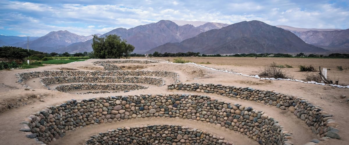 A terraced landscape with a mountain range in the background.