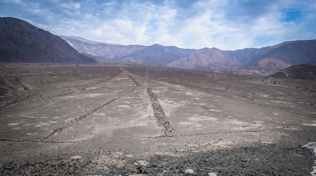 Nazca lines