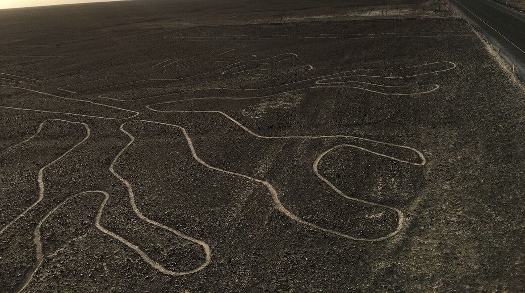 The Nazca Lines are a series of large ancient geoglyphs in the Nazca Desert, in southern Peru.