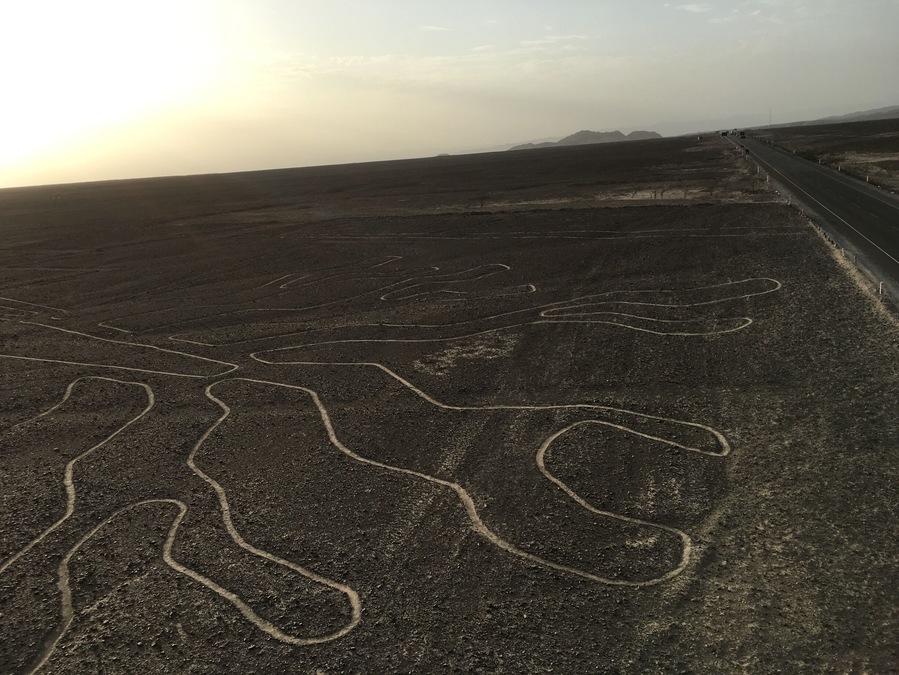 The Nazca Lines are a series of large ancient geoglyphs in the Nazca Desert, in southern Peru.