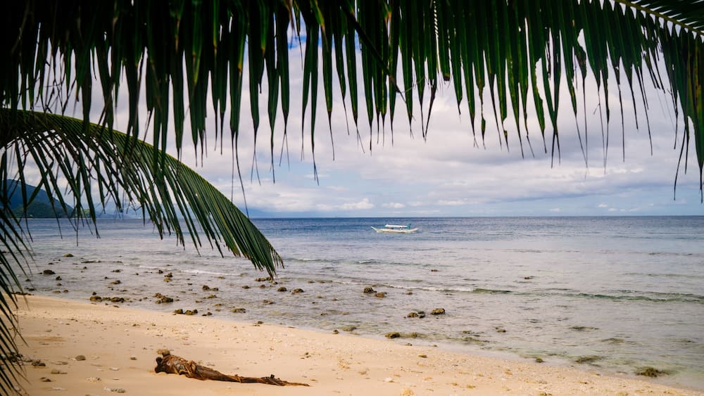 Une plage avec un bateau sur l’eau, des palmiers et une rive sablonneuse.