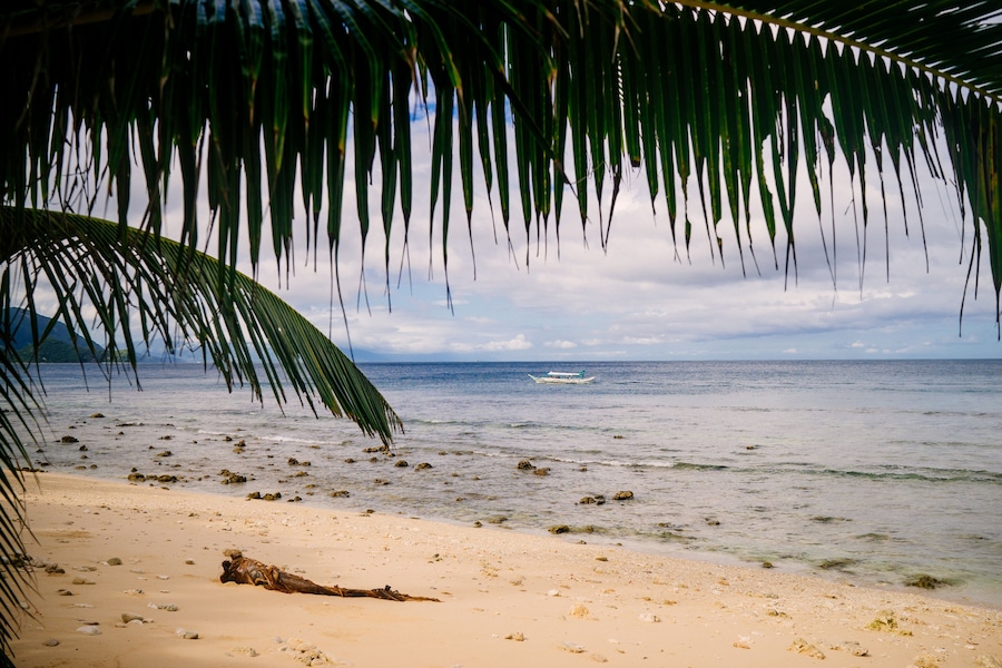 A beach with a boat on the water, palm trees, and a sandy shore.