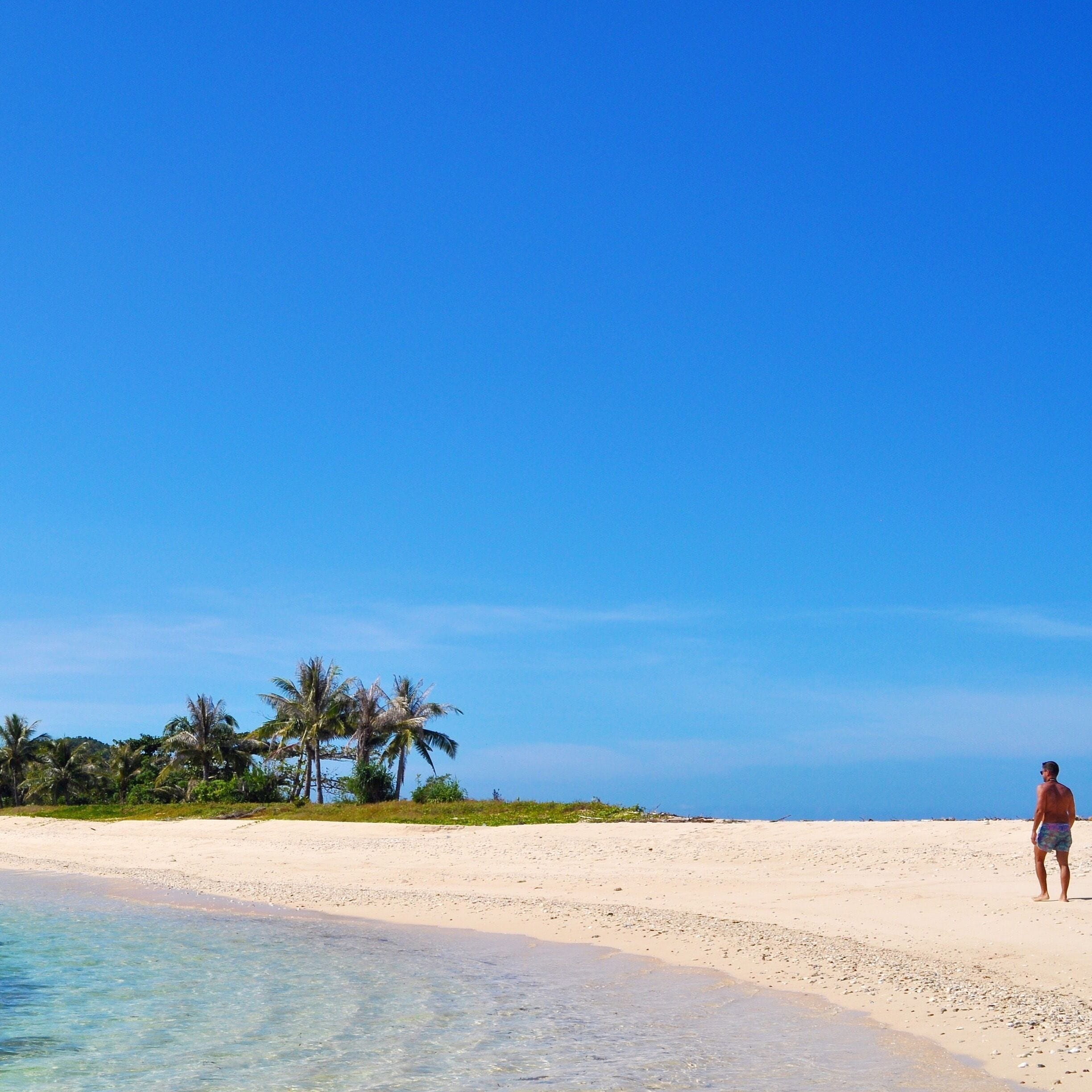 Uma praia com águas azul-claras, areal arenoso e palmeiras.